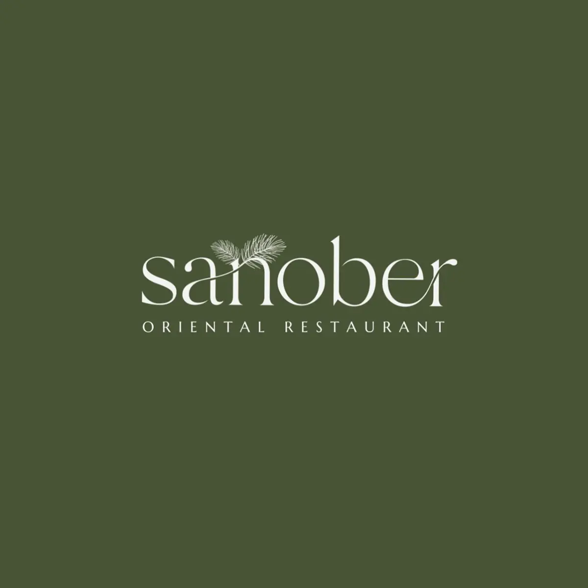 Sanober logo