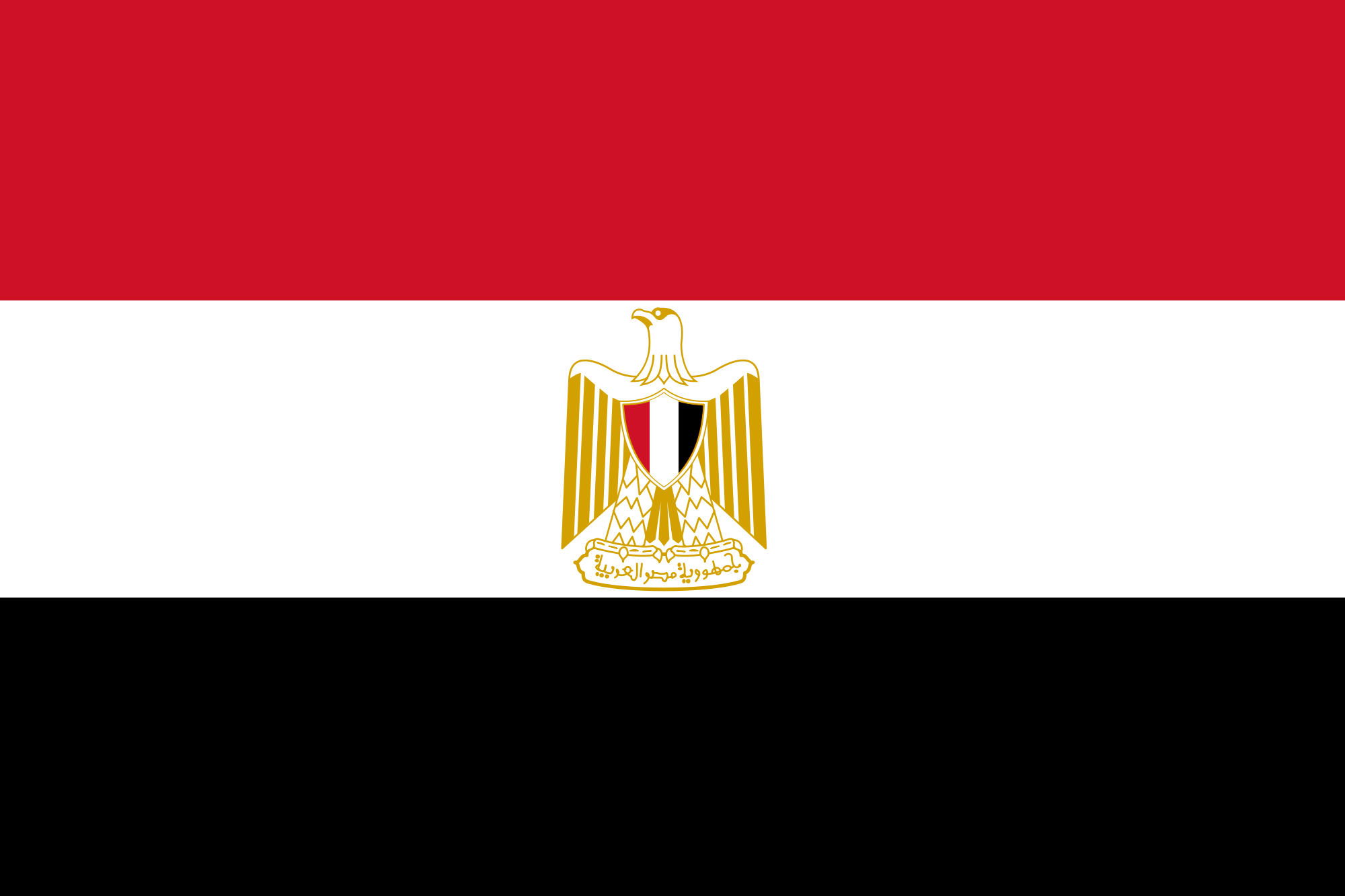 Flag of Egypt variant